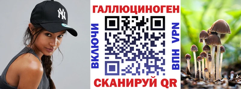 как найти закладки  Злынка  площадка формула  Галлюциногенные грибы мухоморы 
